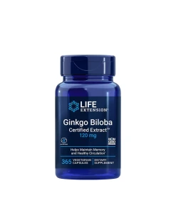 Ginkgo biloba