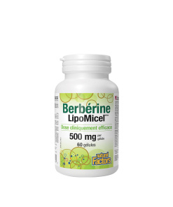 Natural Factors Berberine LipoMicel Matrix (60 Softgels)