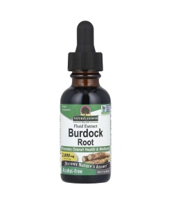 Burdock Root