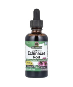 Echinacea Root