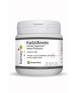 KENAY Boswellia Casperome Indena Phytosome (300 caps)
